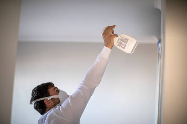Best Residential Mold Removal  in Earlysville, VA