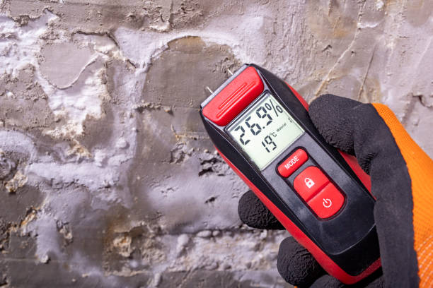 Best Home Mold Removal  in Earlysville, VA