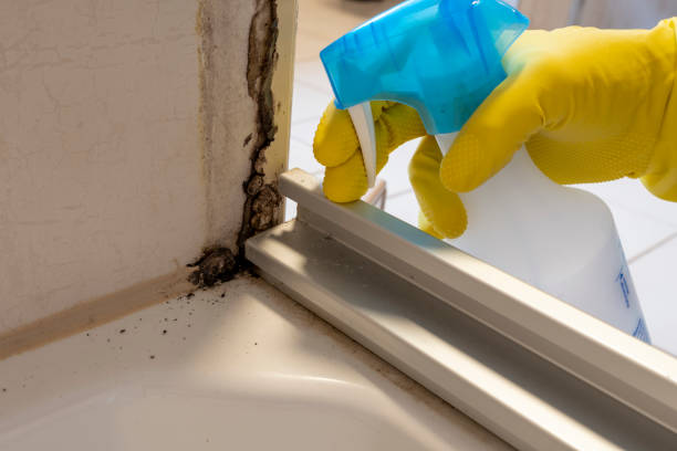 Best Crawl Space Mold Removal  in Earlysville, VA