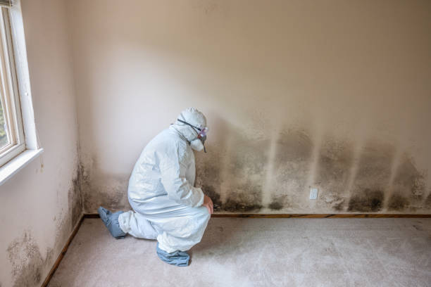 Best Residential Mold Removal  in Earlysville, VA