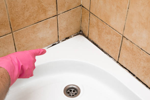 Best Professional Mold Removal  in Earlysville, VA